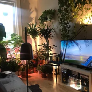  Homestay Urban Jungle Oasis In Queens! United States